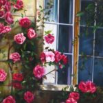 The Pink Window (24x40 in)